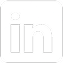 LinkedIn Icon